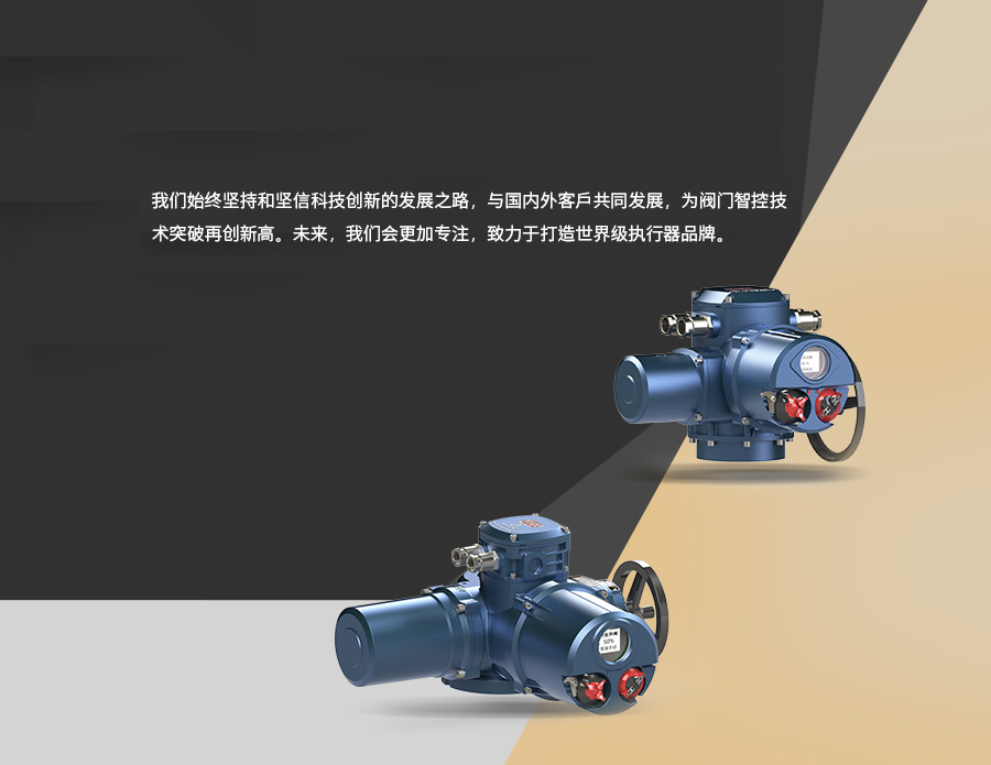 智能型電動(dòng)執(zhí)行器